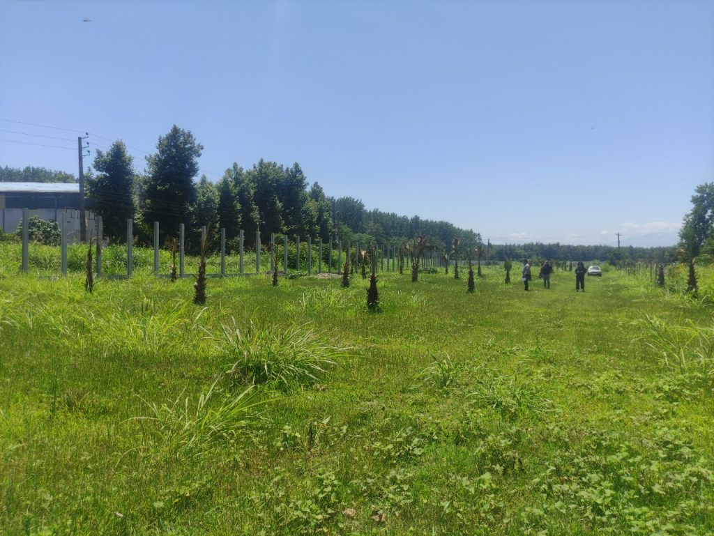 آگهیهای ملک